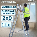 Лестница двухсекционная Alumet Ал 5209 фото 1