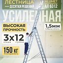 Лестница трехсекционная Alumet Ал 6312 фото 1