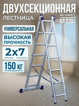 Купить Лестница двухсекционная Ал 5207