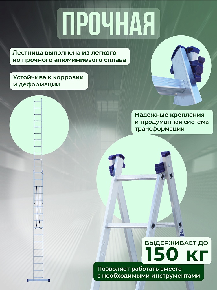 Лестница двухсекционная Alumet Ал 6215 фото 3