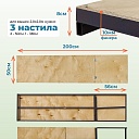 Настил с люком вышки-туры Промышленник ВСП-250/2,0 фото 3