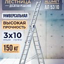 Лестница трехсекционная Alumet Ал 5310 фото 1