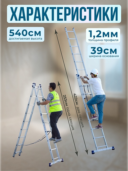 Лестница двухсекционная Alumet Ал 5209 фото 2