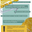 Защитно-улавливающая сетка (двойная) 3,5х6 м фото 5